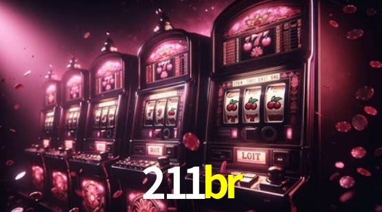 Interface Premium 211br