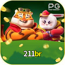 211br